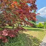 Razor Vista * Tolmin