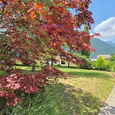 Razor Vista * Tolmin