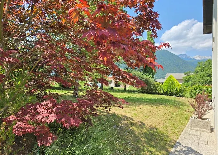 Razor Vista * Tolmin